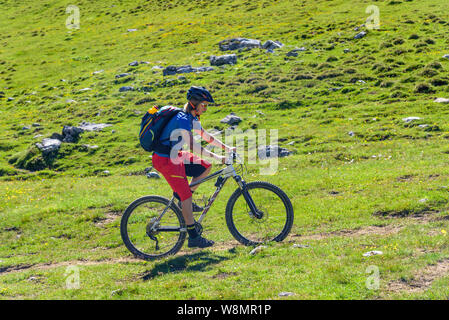 Anstrengenden bergauf mit dem Mountainbike in den Alpen Stockfoto