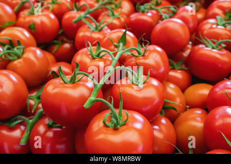 Frische reife Tomaten auf Farmers Market close-up Stockfoto