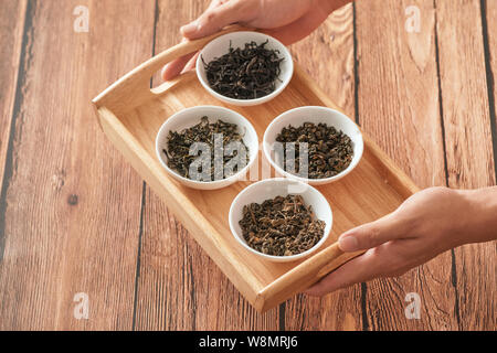 Das Fach auf Händen mit weißen Schalen von trockenen Tees Blätter Stockfoto