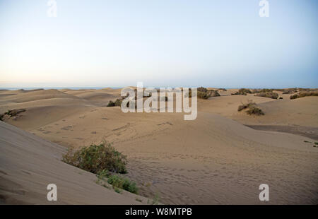 Die Düne von Maspalomas ist eine einzigartige wilden Ort auf den Kanarischen Inseln Stockfoto