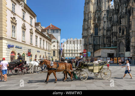 Pferde und Kutschen durch den Stephansdom im Zentrum von Wien, Österreich an einem sonnigen Sommertag Stockfoto