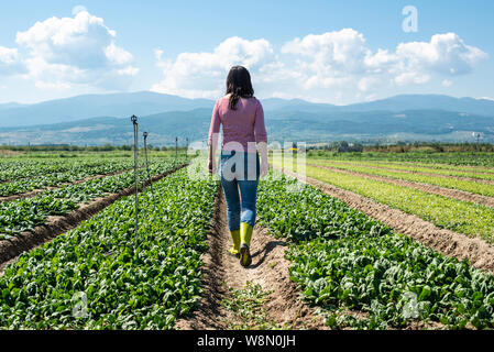 Frau mit grünen Stiefel Wandern auf Spinat. Landwirt in der industriellen Gemüsegarten. Stockfoto