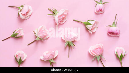 Rosa Rosen in Pastell Papier Hintergrund - Ansicht von oben Stockfoto