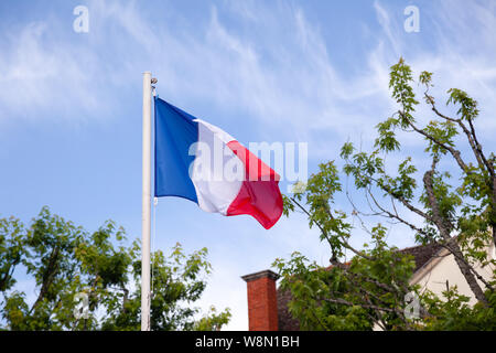 Flagge Frankreichs, Tricolour rot, weiß und blau Farben, Flattern, winken am Fahnenmast Wind gegen Himmel und Wolken, Zweige eines Baumes mit grünen Blättern und Stockfoto