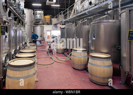 Modernen Weinkeller, Fabrik mit großen metallischen Reinigen/ Edelstahl Tanks, die für die Gärung, gießen Wein in Holzfässern für Altern. Indust Stockfoto