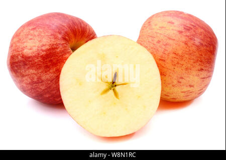 Frische Gala Apfel isoliert auf weißem Hintergrund Stockfoto
