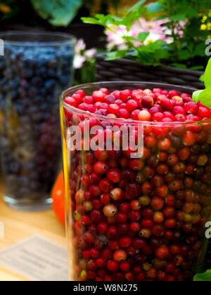 Frisch und lecker Preiselbeeren - Obst und Gemüse. Stockfoto