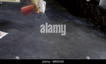 7/8-video Hausfrau wischen Tisch mit Spray Stockfoto