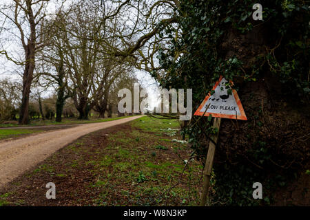 Ein Wegweiser in die Landschaft von Suffolk Fahrer zu warnen, langsamer zu als Enten und Entenküken, die die Straße überqueren könnten entfernt Stockfoto