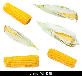 Aus frischen und gekochten Ähren auf weißem Hintergrund einstellen Stockfoto