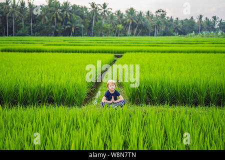 Kleiner Junge übt Yoga in einem Reisfeld, Outdoor. Gymnastische Übungen Stockfoto