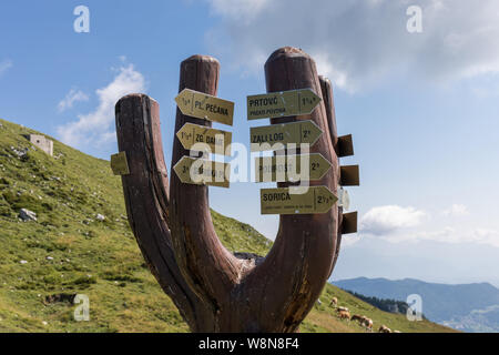 Hinweisschilder auf einen Baumstamm an Ratitovec, Julische Alpen, Slowenien Stockfoto