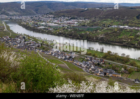 Panoramablick auf die Mosel Tal, das Dorf Graach und der Stadt Bernkastel-Kues im Frühling mit blühenden Pflanzen in der ersten Stockfoto