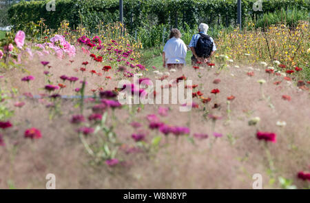 Heilbronn, Deutschland. 08 Aug, 2019. Die Besucher gehen über die Bundesgartenschau im sonnigen Wetter. Credit: Fabian Sommer/dpa/Alamy leben Nachrichten Stockfoto