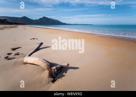 Stück Holz auf einem weißen Strand an einem sonnigen Morgen im Freycinet National Park, Tasmanien, Australien Stockfoto