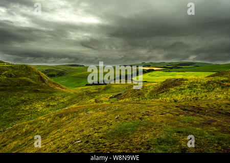 Coastal Trail mit Weiden bei regnerischen Wetter auf St. Abbs Head in Schottland Stockfoto