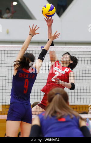 Asahikawa große Schildkröte, Saitama, Japan. 10 Aug, 2019. Sarina Koga (JPN), 10. August 2019 - Volleyball: Internationales Freundschaftsspiel zwischen Japan 3-0 Chinesisch Taipei in Asahikawa große Schildkröte, Saitama, Japan. Credit: Sho Tamura/LBA SPORT/Alamy leben Nachrichten Stockfoto