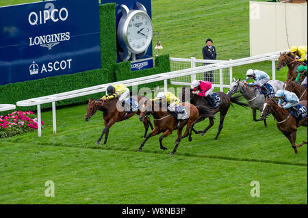 Ascot, Großbritannien. 10 Aug, 2019. Jockey Mark Zahra gewinnt den Dubai Duty Free Shergar Cup Challenge auf irischen Pferd Indianapolis für den 'Rest der Welt'. Der Dubai Duty Free Shergar Cup ist eine einzigartige Punkte Wettbewerb, wo 12 der oberen Jockeys der Welt in vier Teams über vier Rennen konkurrieren. Die Mannschaften sind Großbritannien und Irland, die Mädchen, Europa und dem Rest der Welt. Credit: Maureen McLean/Alamy leben Nachrichten Stockfoto