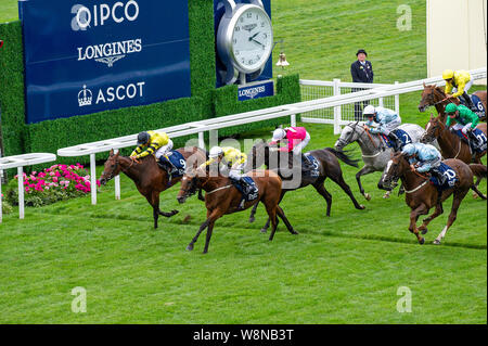 Ascot, Großbritannien. 10 Aug, 2019. Jockey Mark Zahra gewinnt den Dubai Duty Free Shergar Cup Challenge auf irischen Pferd Indianapolis für den 'Rest der Welt'. Der Dubai Duty Free Shergar Cup ist eine einzigartige Punkte Wettbewerb, wo 12 der oberen Jockeys der Welt in vier Teams über vier Rennen konkurrieren. Die Mannschaften sind Großbritannien und Irland, die Mädchen, Europa und dem Rest der Welt. Credit: Maureen McLean/Alamy leben Nachrichten Stockfoto