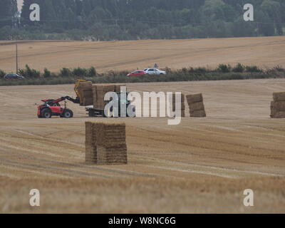 Eastchurch, Kent, Großbritannien. August 2019. Wetter in Großbritannien: Ein winziger, warmer und allgemein sonniger Nachmittag in Eastchurch, Kent. Ein Bauer holt an einem blutrigen Nachmittag hale Ballen auf einem Feld ab. Kredit: James Bell/Alamy Live News Stockfoto