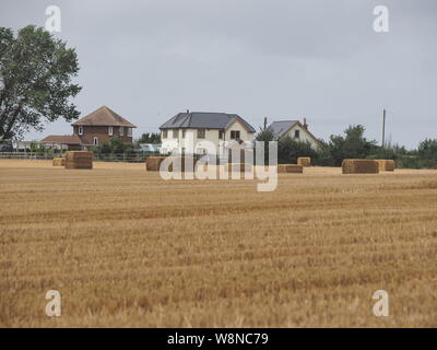 Eastchurch, Kent, Großbritannien. August 2019. Wetter in Großbritannien: Ein winziger, warmer und allgemein sonniger Nachmittag in Eastchurch, Kent. Ein Bauer holt an einem blutrigen Nachmittag hale Ballen auf einem Feld ab. Kredit: James Bell/Alamy Live News Stockfoto