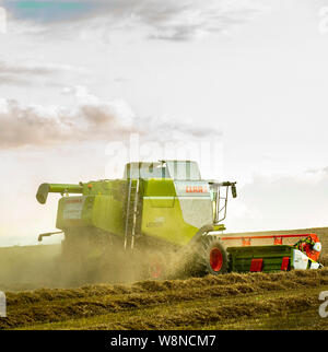 Die summeer Ernte von Weizen unter Weg auf einem Bauernhof in Lincolnshire, mit einem Claas Lexion 630 Mähdrescher Stockfoto