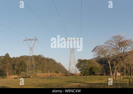 Brasilianische Geier. Vögel der wissenschaftliche Name Coragys Atratus in power transmission Towers gelandet. Ökologisch wichtigen Vogel Gruppe gegenüber der Serie Stockfoto