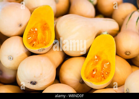 Frische Honeynut Butternut Squash zu produzieren. Raw Orange Bio Kürbis fertig zu Backen. Butternut-kürbis strukturierten Hintergrund selektive Stockfoto