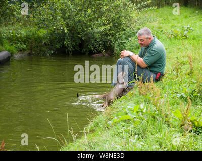 Wächter an der Tamar Otter & Wildlife Center,Petherwin, Nr. Launceston, Cornwall, Großbritannien mit britischen Otter, Eurasische Fischotter (Lutra lutra) Stockfoto