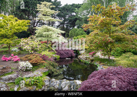 Der japanische Garten bei Samarès Manor, Jersey Stockfoto
