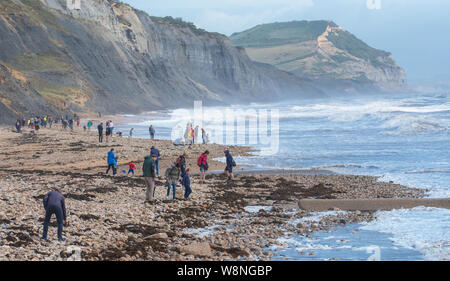 Charmouth, Dorset, Großbritannien. 10. August 2019. UK Wetter: Urlauber heraus auf einem blustery Tag am Meer Dorf Charmouth als ungewöhnlich starke süd-westliche Winde weiter an der Südwestküste am Samstag Nachmittag zu zerschlagen. Die stürmischen Bedingungen nicht abschrecken fossilen Jäger auf Charmouth Beach. Credit: Celia McMahon/Alamy Leben Nachrichten. Stockfoto