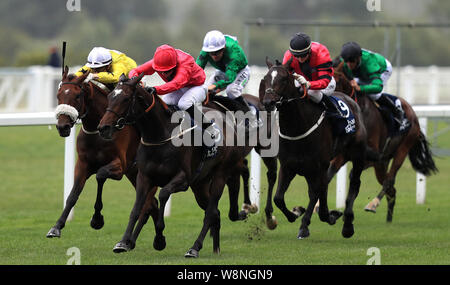 Der Sapa Inka geritten von Hayley Turner gewinnt den Dubai Duty Free Shergar Cup Classic auf der Pferderennbahn Ascot. Stockfoto