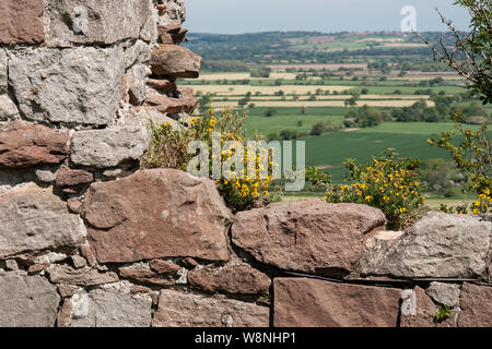 Blick von Beeston Castle, Cheshire Stockfoto