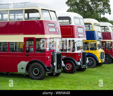 Linie der Busse in Alton Bus Rallye & läuft Tag 2019 Stockfoto