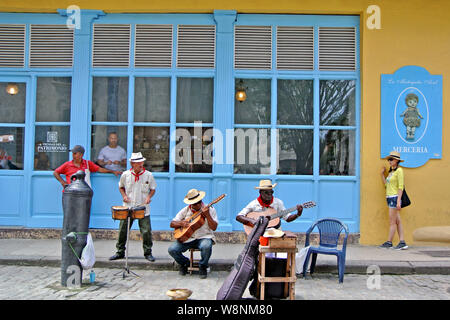 Street Musiker in der Innenstadt von Havanna Stockfoto