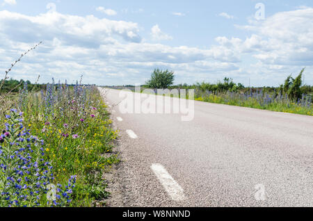 Schönen Sommer Blumen von einem Land Straße an der Insel Oland in Schweden, ein Bereich, in dem die landwirtschaftliche Landschaft des südlichen Olan Stockfoto