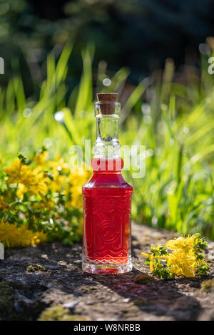 Eine Flasche roten Öl aus Johanniskraut Blüten erfolgen, im Freien Stockfoto