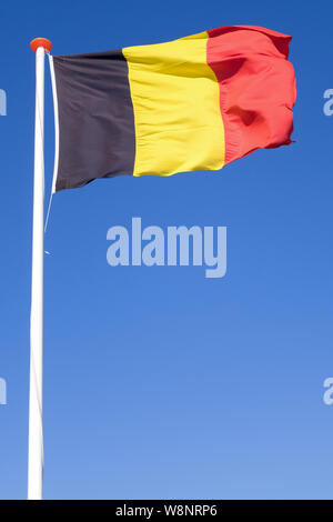 Die belgische Flagge im Wind Stockfoto