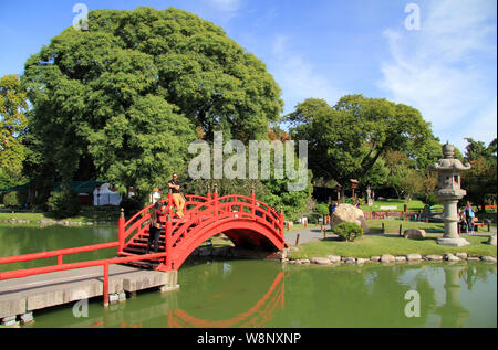 Der japanische Garten ist eine beliebte Touristenattraktion in der Argentinischen Hauptstadt Buenos Aires Stockfoto