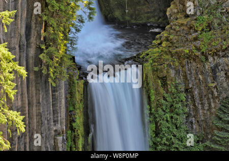 Oder: Douglas County, Cascades. Der Norden Umpqua River fließt über eine Klippe von Basaltsäulen am Toketee fällt, Umpqua National Forest gemacht Stockfoto