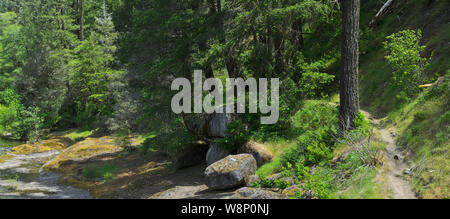 Oder: Douglas County, Cascades Westhang, North Umpqua Valley, Wolf Creek Trail. Wanderweg verläuft unter Felsen neben dem kleinen Fluss Stockfoto