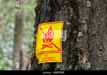 Oder: Douglas County, Cascades, Cavitt schauen vorbei Creek County Park, innerhalb der Umpqua National Forest. "Kein Lagerfeuer' Schild an einem Baum genagelt Stockfoto