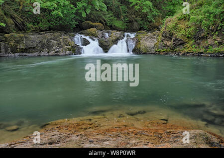 Oder: Douglas County, Cascades, Cavitt schauen vorbei Creek Falls Recreation Area. Blick auf Cavitt schauen vorbei Creek Falls. Stockfoto