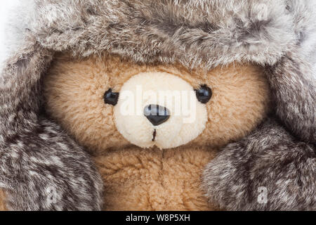 Flauschige Teddybär mit Winter hat Stockfoto