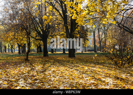 Sonnigen Tag im Herbst Park. Indian Summer, duftige, martinmas Sommer. Bild horizontal. Stockfoto