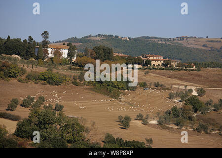 Landwirtschaft auf der Strada Statale 68 in der Nähe von Volterra, Toskana Stockfoto