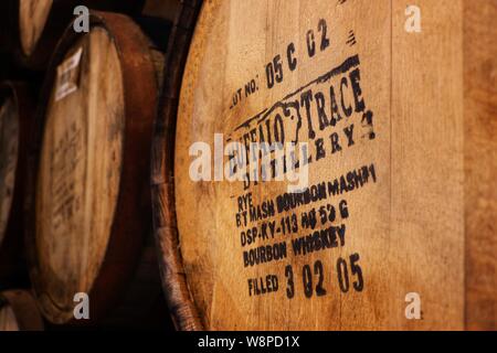 Whisky in Bourbon Fässern heranreifen, Penderyn Distillery, Wales, Großbritannien Stockfoto