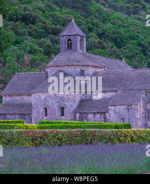 Lavendelfelder in der Senanque Abteikirche. Provence, Frankreich Stockfoto