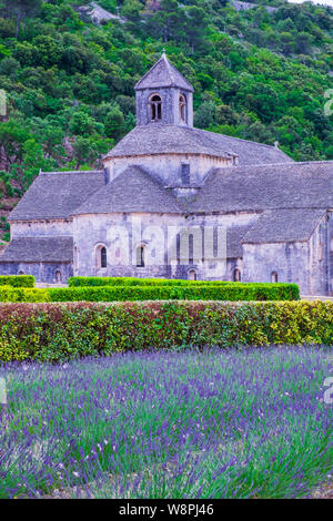 Provence. Sommer Landschaft. Stockfoto