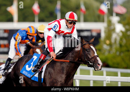 August 10, 2019, Arlington Heights, IL, USA: August 10, 2019: Ziegel und Mörtel, geritten von irad Ortiz Jr., nachdem er die Arlington Million während Arlington Million Tag Arlington am Internationalen Pferderennbahn in Arlington Heights, Illinois. Jon Durr / Eclipse Sportswire/CSM Credit: Cal Sport Media/Alamy leben Nachrichten Stockfoto